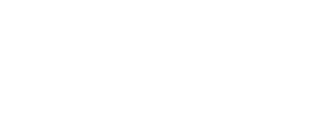 logo-ste
